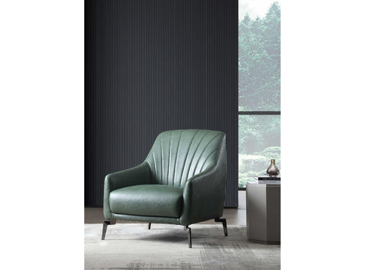 Verona 休闲椅| 更多皮布面料可选，详询客服 商品图4