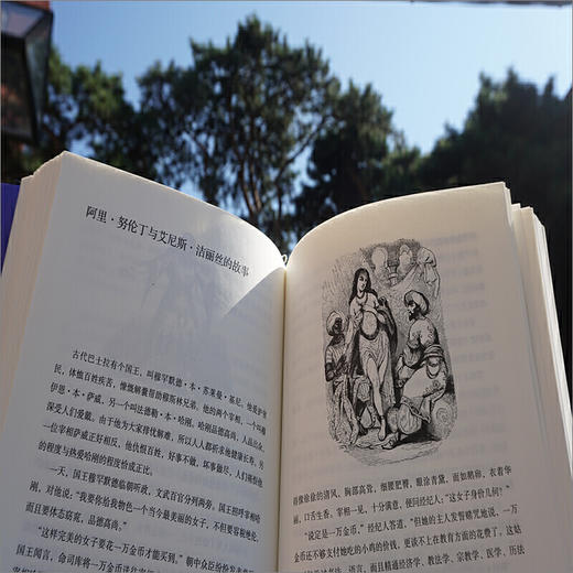 一千零一夜(精华本)(上下) 阿拉伯语直译 商品图4