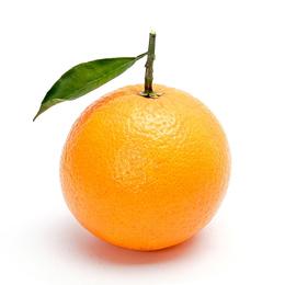 橙子一斤（约2-3个）
