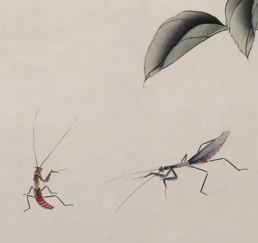 【定制书画】于非闇《春日杜鹃图》纸本 立轴 馆藏书画高仿复制艺术品（付款后28天内发货） 商品图1