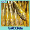 【野生】冰鲜（热气）大黄鱼 250-450g/条 商品缩略图0