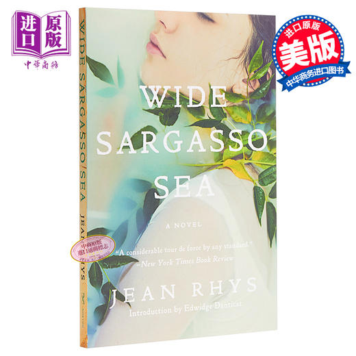 预售 【中商原版】藻海无边 英文原版 Wide Sargasso Sea Jean Rhys 商品图0