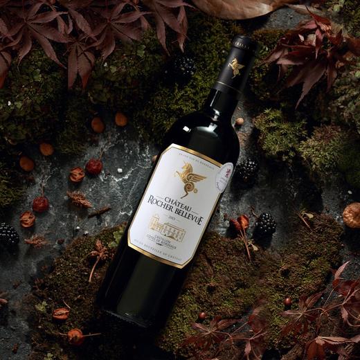 翡马·美丽石景酒庄红葡萄酒 750ML（6瓶装） 商品图1