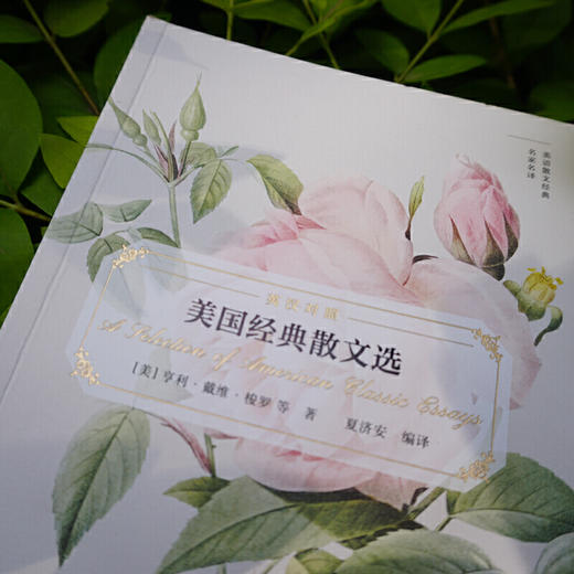 美国经典散文选(英语散文经典名家名译) 商品图2