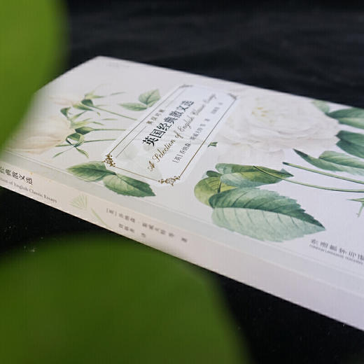 英国经典散文选(英语散文经典名家名译) 商品图3