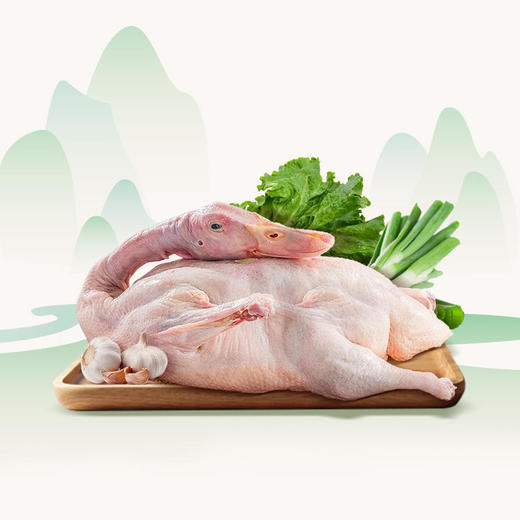 【谷宝有机菜蛋禽营养套餐】6斤蔬菜+1只鸭+10枚鸭蛋 商品图3