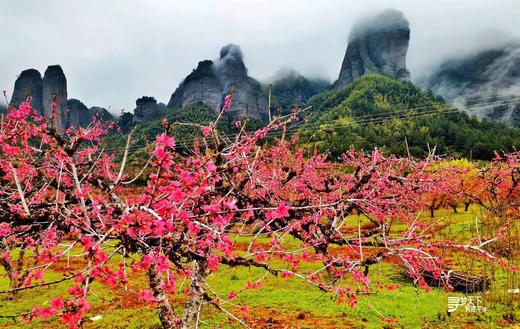 东莞出发！2.28【连平】十里桃花、油菜花2天摄影采风 商品图8