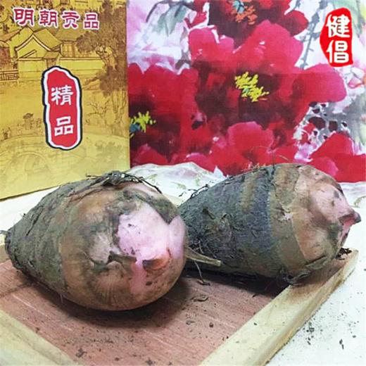 【常州馆 仅供展示】金坛正宗建昌红香芋现挖芋艿新鲜小芋头粉糯农家芋子6斤礼盒常州 商品图3