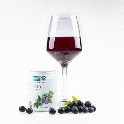 【常州馆】白露山蓝莓汁/产地直发/12听*248ml*1箱 商品图4