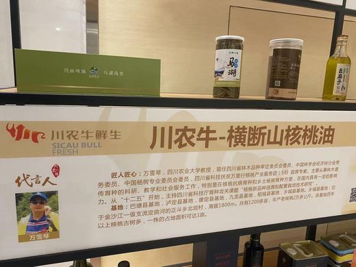 古树核桃油☀横断山雪域高原 古树核桃油 特级冷榨  500ml装 媲美进口品质 商品图3