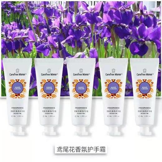 【0.99元/支】悠然庄园护手霜40g（1009981）（1009982） 商品图1