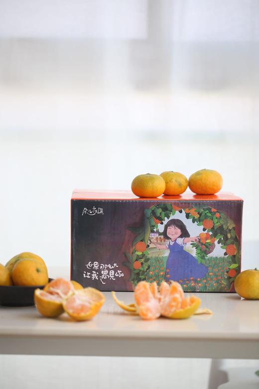 赣南蜜桔 10斤装 桔子不打蜡 人工挑选（限济南同城） 商品图1