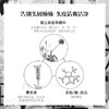Davines大卫尼斯自然亮泽洗发水1L有效期至22年3月 商品缩略图3