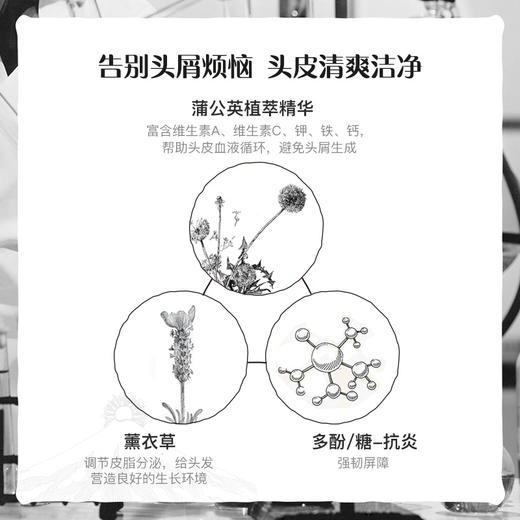 Davines大卫尼斯自然亮泽洗发水1L有效期至22年3月 商品图3
