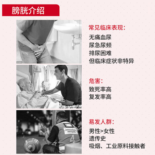 海南分院——Abbott雅培无创居家检测  辅助膀胱癌检测诊断及其复发监测 商品图3