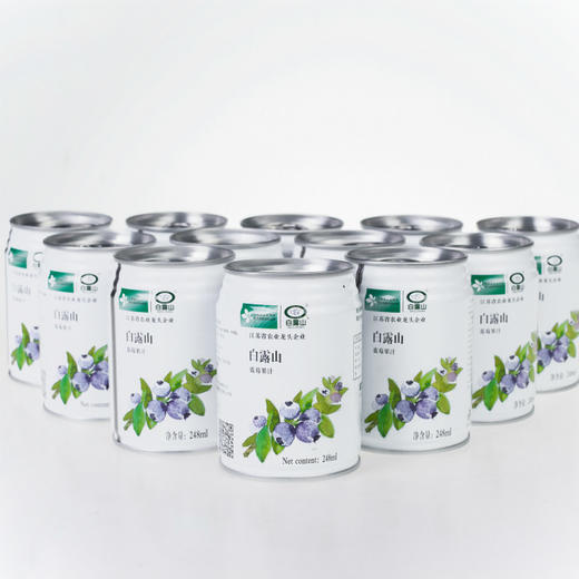 【常州馆】白露山蓝莓汁/产地直发/12听*248ml*1箱 商品图3
