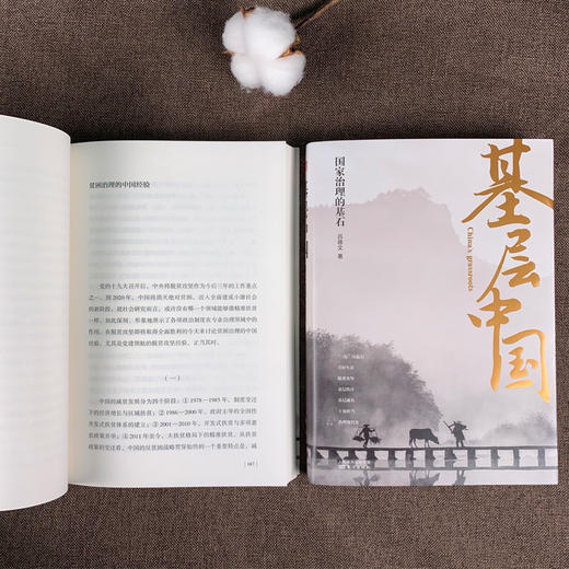 【连岳】《基层中国：国家治理的基石》基层兴，则国兴，全面呈现基层中国社会变迁 深度解析基层治理复杂性 商品图4