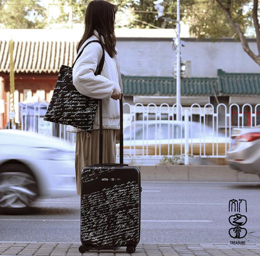 【人文之宝】列夫·托尔斯泰主题帆布袋、胸针 商品图5