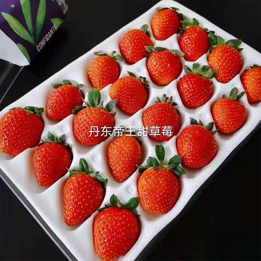 【农科院帝王草莓】11-15枚/盒，草莓味道浓郁 商品图2
