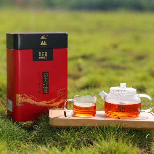 红茶 云上茶业 2020年传统功夫红茶 湖红典范 108g 礼罐装 商品图1