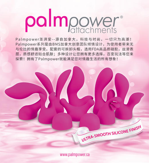 加拿大品牌BMS Palmpower按摩AV棒女用直插电源款震动棒 商品图7