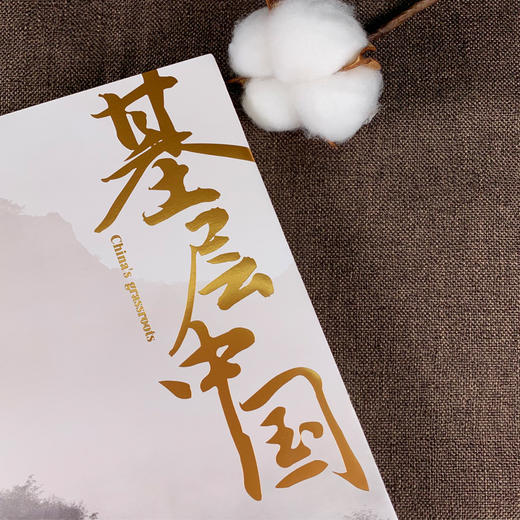 【连岳】《基层中国：国家治理的基石》基层兴，则国兴，全面呈现基层中国社会变迁 深度解析基层治理复杂性 商品图3