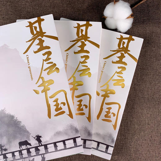 【连岳】《基层中国：国家治理的基石》基层兴，则国兴，全面呈现基层中国社会变迁 深度解析基层治理复杂性 商品图2