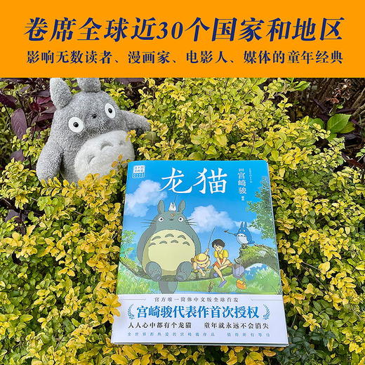 【0-3岁】龙猫：宫崎骏代表作 商品图2