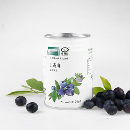 【常州馆】白露山蓝莓汁/产地直发/12听*248ml*1箱 商品图1