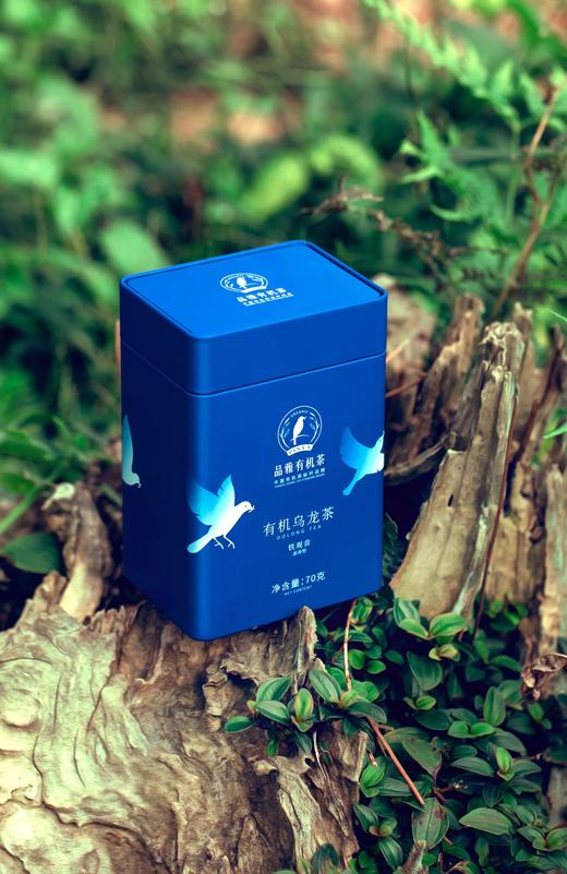 正宗安溪铁观音 新茶 清香型/浓香型 兰花香 中美欧有机认证 商品图0