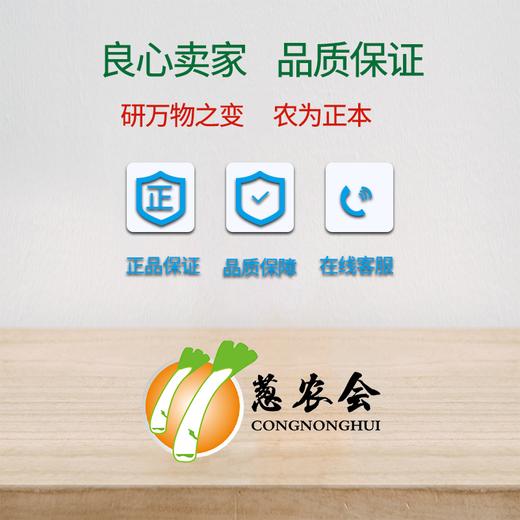 【农药】霜霉+疫病方案（可兑水300~350公斤） 商品图3