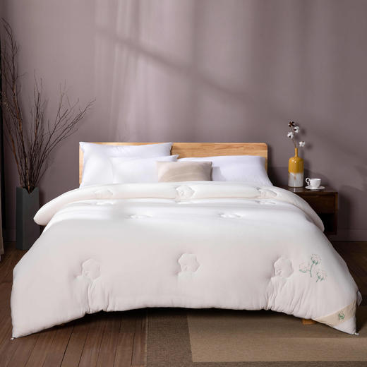 远梦天然棉花舒眠被 商品图0