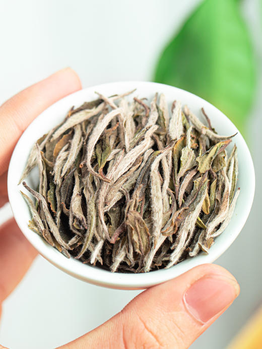 品雅有机茶叶 福鼎白茶 白牡丹春茶 高山茶 2019茶 罐装 商品图1