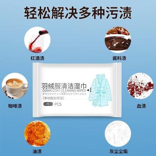 【免水洗 羽绒服清洗湿巾】居家日用干洗剂清洁工具湿巾纸去污去油污 商品图6