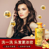 琴叶 | 生姜洗发水 防脱发控油止痒  生姜 滋养 1000ml 商品缩略图1