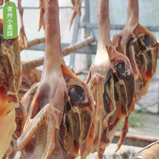 仔鹅整只 溧阳建凤土特产 商品图1