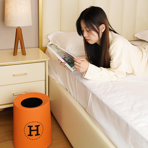 创意日式家用双层垃圾桶客厅卫生间厨房厕所卧室办公室分类拉圾筒 商品图3
