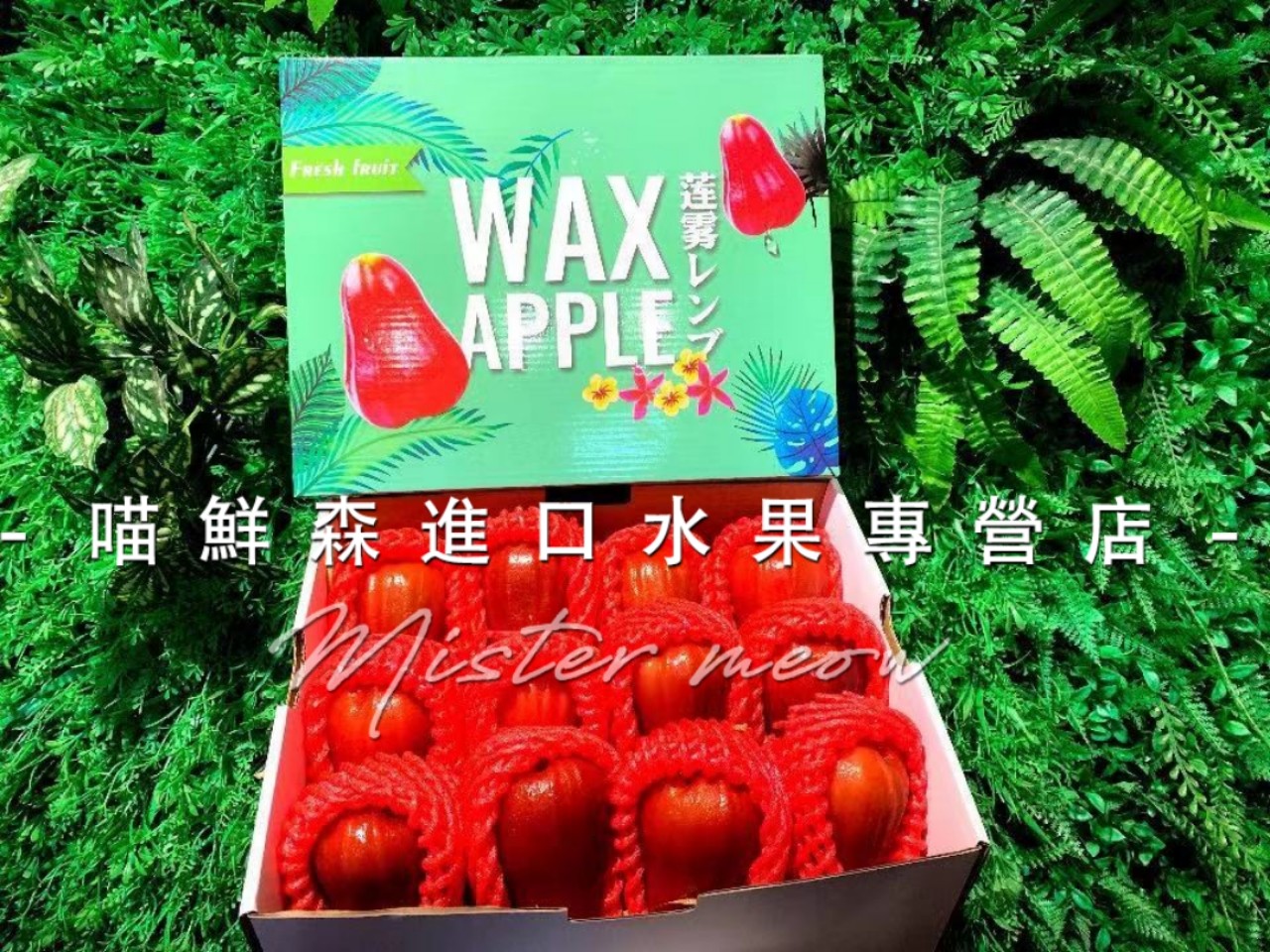 黑金刚莲雾（补水神器）12颗装大果发全国