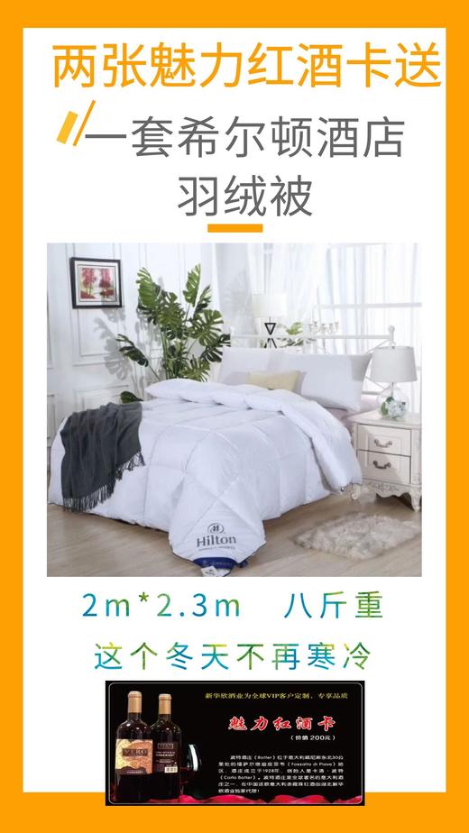 两张魅力红酒卡送一套希尔顿酒店羽绒被-CG 商品图0