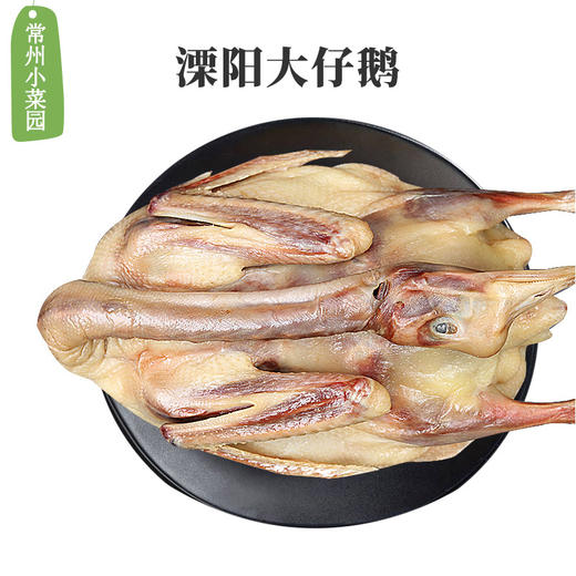 仔鹅整只 溧阳建凤土特产 商品图0