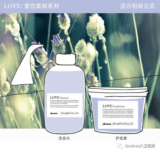 大卫尼斯迷露护发素250ml有效期至21年12月 商品图1