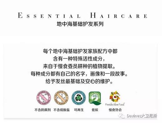 大卫尼斯迷露护发素250ml有效期至21年12月 商品图3