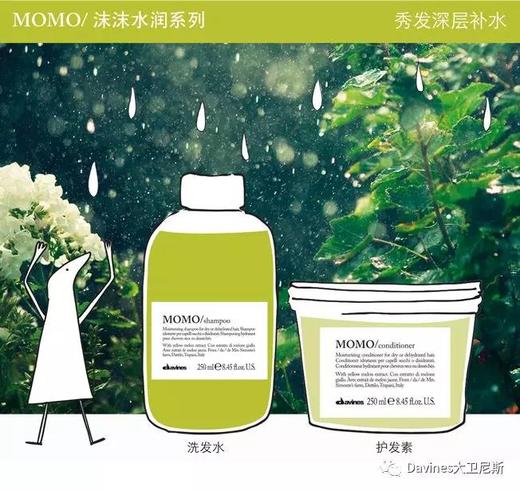 大卫尼斯沫沫水润护发素1L 商品图1