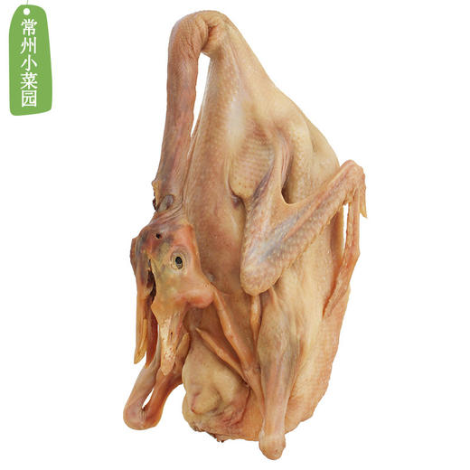 仔鹅整只 溧阳建凤土特产 商品图5