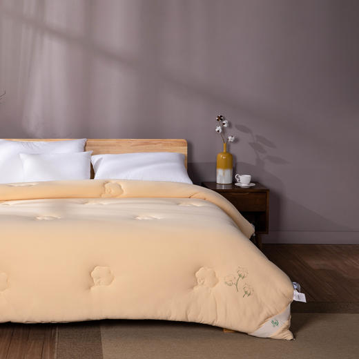 远梦天然棉花舒眠被 商品图2