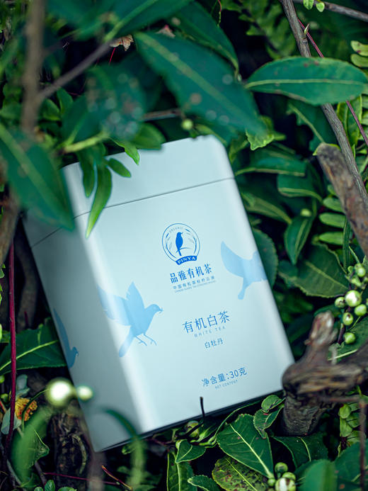 品雅有机茶叶 福鼎白茶 白牡丹春茶 高山茶 2019茶 罐装 商品图0