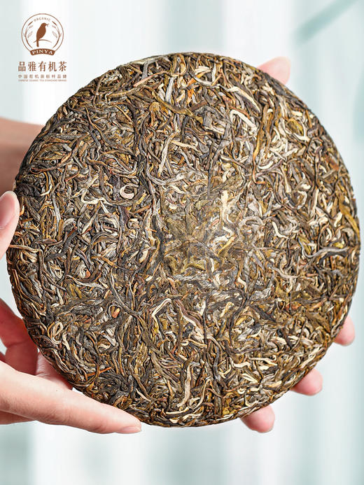 有机茶叶 普洱茶 生茶 云南古树七子茶饼黑茶大树茶收藏 商品图1