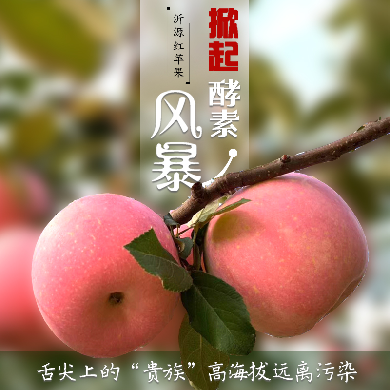 社区团购 凤归巢 “沂源红”酵素苹果精选果 净重5斤/箱 顺丰包邮