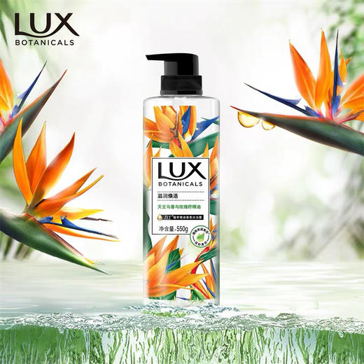 力士植萃精油沐浴露 550g 商品图3