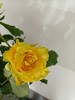 【方德玫瑰】荷冠(黄色）暮光，10支/扎，65公分 商品缩略图0